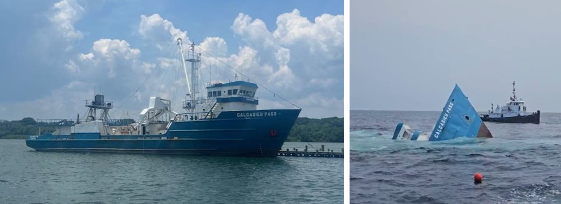 The Calcasieu Pass, an offshore oil field supply vessel turned menhaden processing ship, was recently sunk Delaware Artificial Reef Site 13, better known as the Del-Jersey-Land Reef.