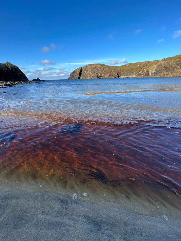 HOME 25 Peat stained stream waters feeding into crystal blue sea water