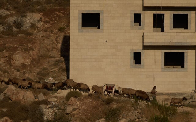 Illustrative: An Israeli settler leads his flock of sheep past a home in the West Bank village of Abu Falah on July 29, 2026. (AP/Leo Correa) Illustrative: An Israeli settler leads his flock of sheep past a home in the West Bank village of Abu Falah on July 29, 2026. (AP/Leo Correa)