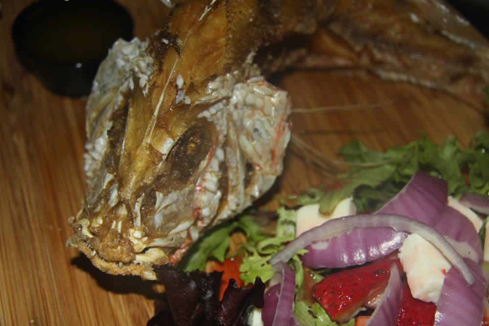 Puerto Rican snapper