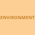 Environment link