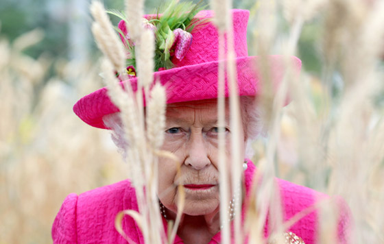 Фотохроника 9 июля