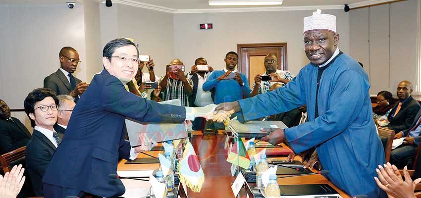 Appui au développement de la riziculture : le Japon trace un sillon Appui au développement de la riziculture : le Japon trace un sillon