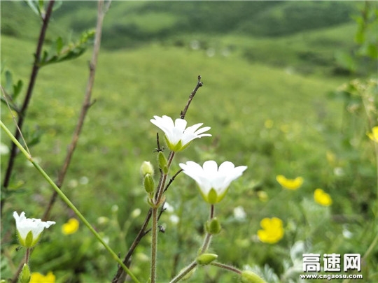 ÆßÔµĴóÓêÇãÁËÅè