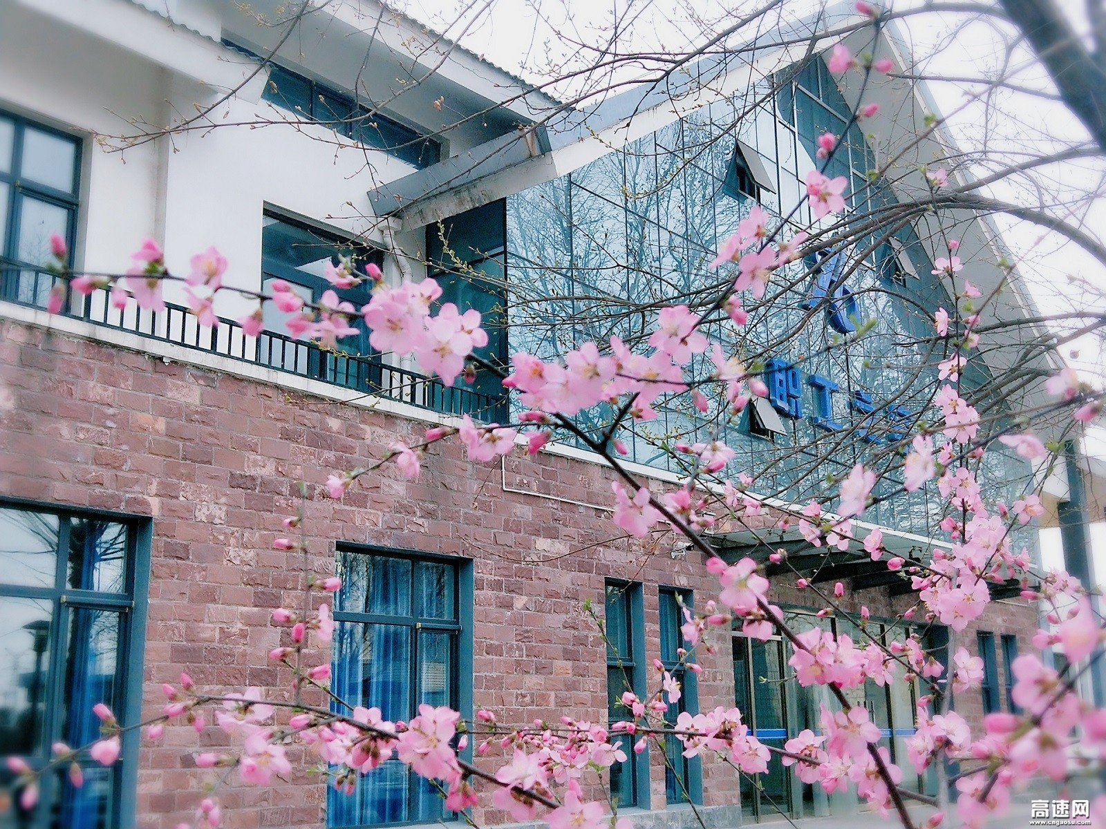 ´ºÂú¡°¼ÒÔ°¡±