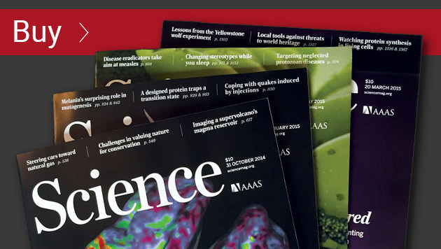 Purchase past issues Link