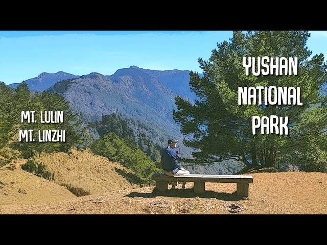 NANTOU | Yushan National Park (玉山國家公園南投縣)