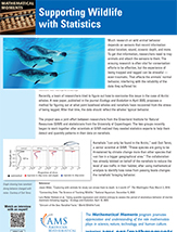 Mathematical Moments Supporting Wildlife with Statistics flyer. Image of three narwhals swimming.