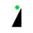 Sage Intacct Icon
