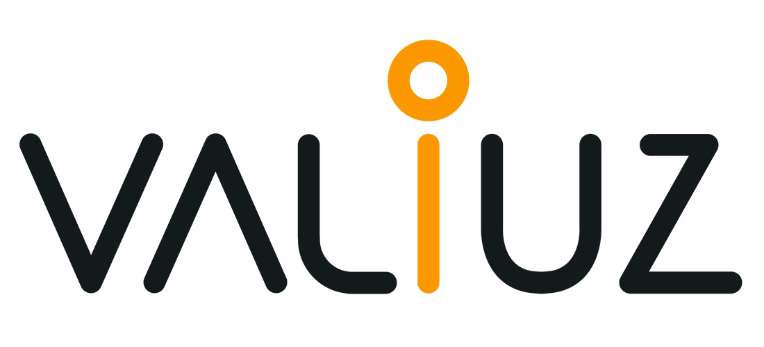 Valiuz Partners with Google Cloud to Accelerate Employee AI Adoption and  Transform Business Practices