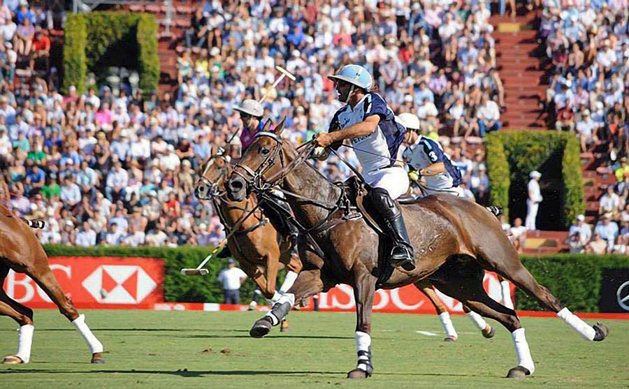 Polo game in Argentina Polo game in Argentina. The Final of the Argentine Open 2014