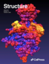 Image on the cover of the journal containing the article (2022) Structure 30: 1385-1394.e3 doi: 10.1016/j.str.2022.08.004