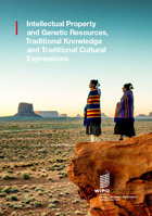 WIPO publication 933 cover